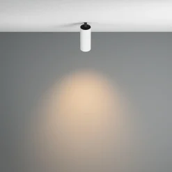 Deckenleuchte 'Focus 20'