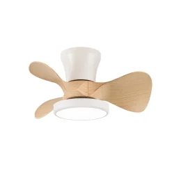 Deckenventilator 'Moll MC1'