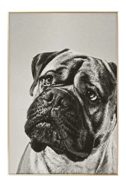 Gerahmte Fotografie 'Puppy Eyes' 40x60cm