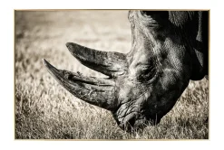 Gerahmte Fotografie 'Ruler of Tranquility' 90x60cm