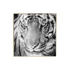 Gerahmte Fotografie 'Tiger's Glance' 60x60cm