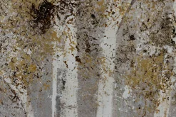 Handgemaltes Gemälde 'Gold of Birches' 100x75cm | inkl. Echtheitszertifikat