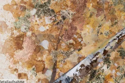 Handgemaltes Gemälde 'Magie im Wald' 140x70cm | inkl. Echtheitszertifikat