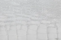 Handgemaltes Gemälde 'White Snake' 100x75cm | inkl. Echtheitszertifikat