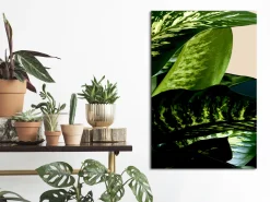 Kunstdruck auf Leinwand 'Dieffenbachia Vertical'
