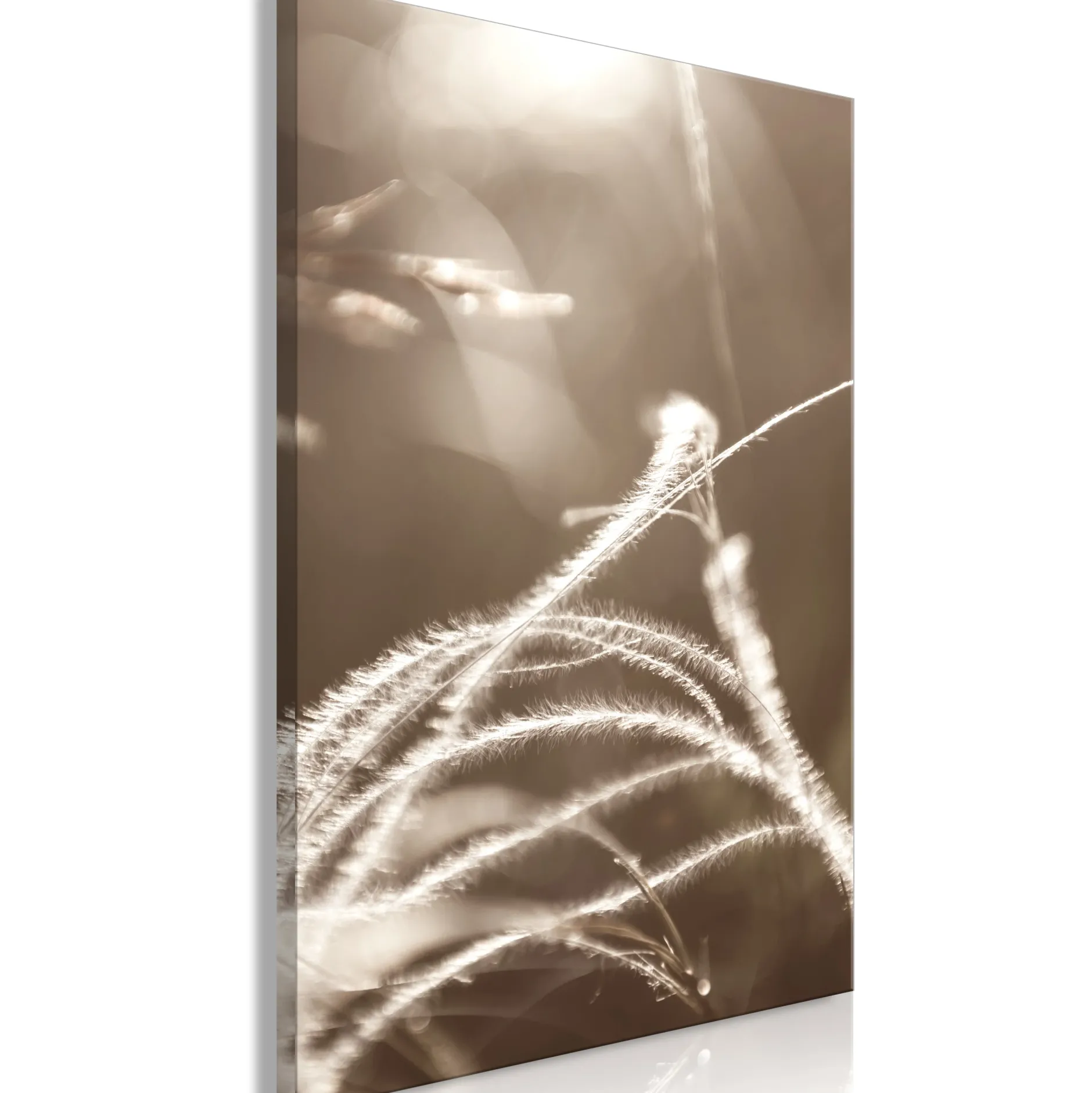 Kunstdruck auf Leinwand 'Fluffy Grass Vertical'