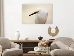 Kunstdruck auf Leinwand 'Snowy Egret Wide'