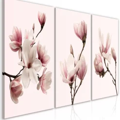 Kunstdruck auf Leinwand 'Spring Magnolias (3-teilig)'