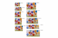 Kunstdruck 'Flowers of Joy'