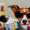 Kunstdruck 'Kiki, Jack und Matt'