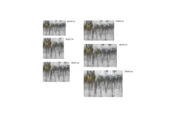 Kunstdruck 'Rainy Day'