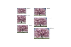 Kunstdruck 'Rooted Spirit'