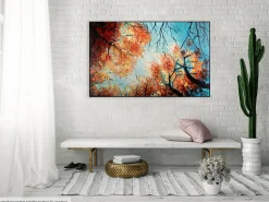 Kunstdruck 'Tanz der Baumkronen'