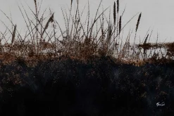 Öl Gemälde 'Auf der Zauberheide' | Handgemaltes Unikat