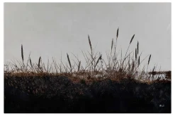 Öl Gemälde 'Auf der Zauberheide' | Handgemaltes Unikat