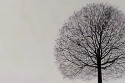 Öl Gemälde 'Baum der Weisheit' | Handgemaltes Unikat