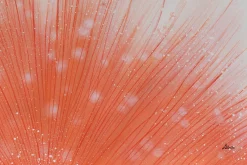 Öl Gemälde 'Blüte der Leidenschaft' | Handgemaltes Unikat