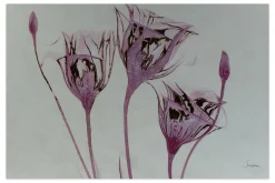 Öl Gemälde 'Blumen der Königin' | Handgemaltes Unikat