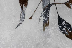 Öl Gemälde 'Eisige Schönheit' | Handgemaltes Unikat