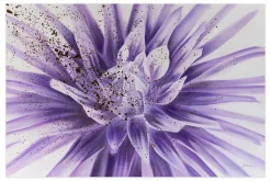 Öl Gemälde 'Enchanted Dahlia' | Handgemaltes Unikat