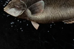 Öl Gemälde 'Königin der Fische' | Handgemaltes Unikat