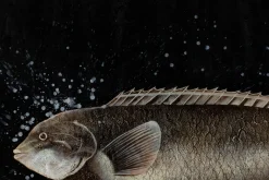 Öl Gemälde 'Königin der Fische' | Handgemaltes Unikat
