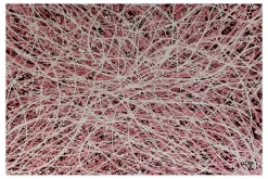 Öl Gemälde 'Magic Lines' | Handgemaltes Unikat
