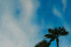Öl Gemälde 'Palm Branches' | Handgemaltes Unikat
