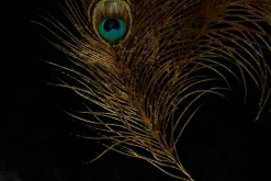 Öl Gemälde 'Peacock footprints' | Handgemaltes Unikat