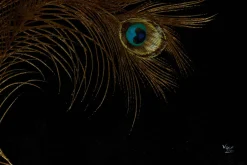 Öl Gemälde 'Peacock footprints' | Handgemaltes Unikat