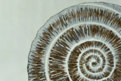 Öl Gemälde 'Pearlescent Conch' | Handgemaltes Unikat