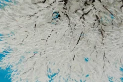 Öl Gemälde 'Snowy Branches' | Handgemaltes Unikat