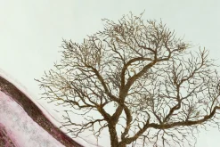Öl Gemälde 'Terracotta Coast' | Handgemaltes Unikat