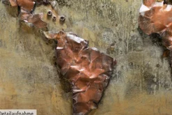 Metallbild 3D 'Metal Map' 100x70x4cm