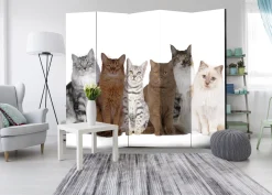 Paravent 'Sweet Cats II'