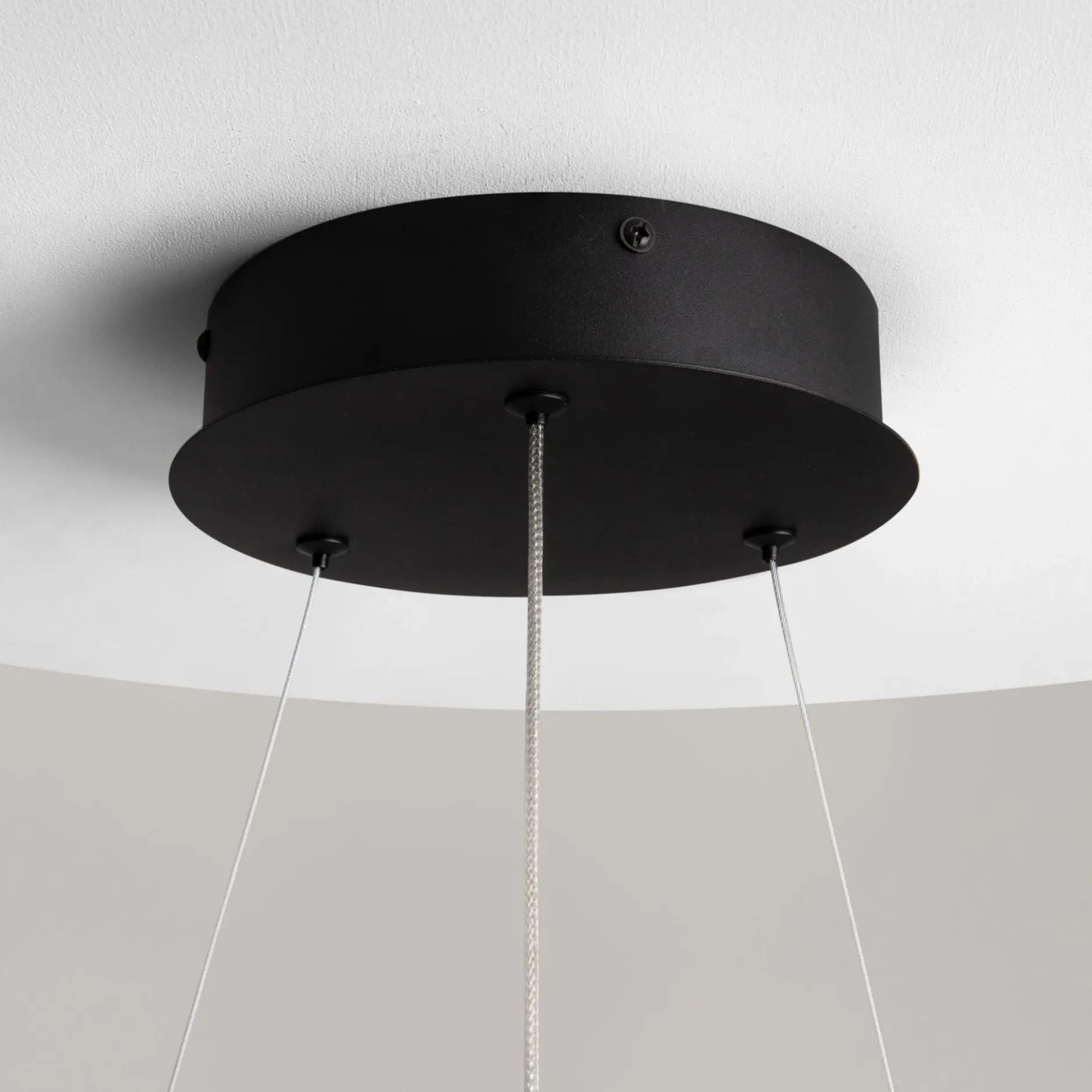 Pendelleuchte 'Curve 1'