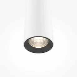 Pendelleuchte 'Pro Extra 2'