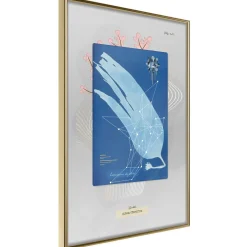 Poster 'Alga'