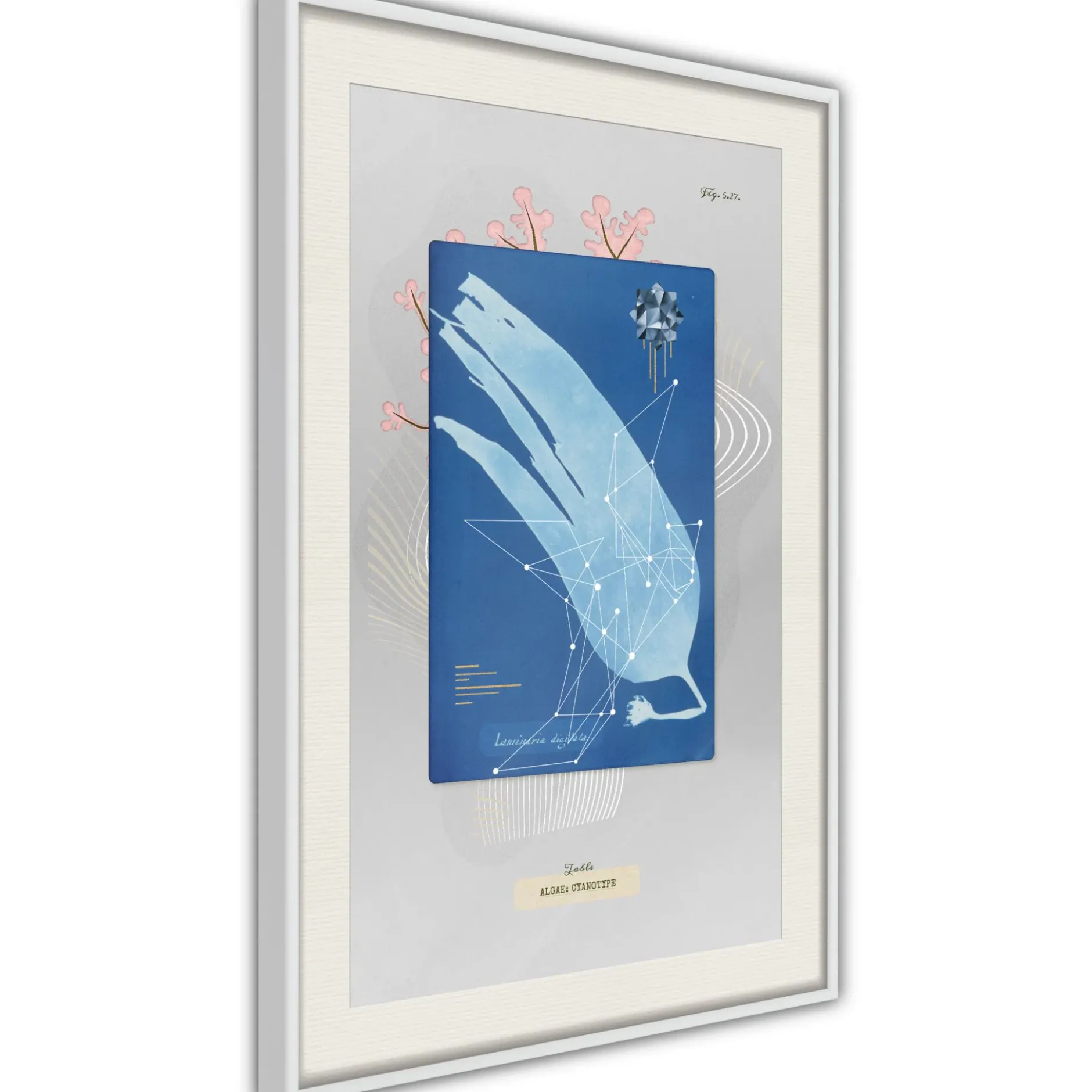 Poster 'Alga'