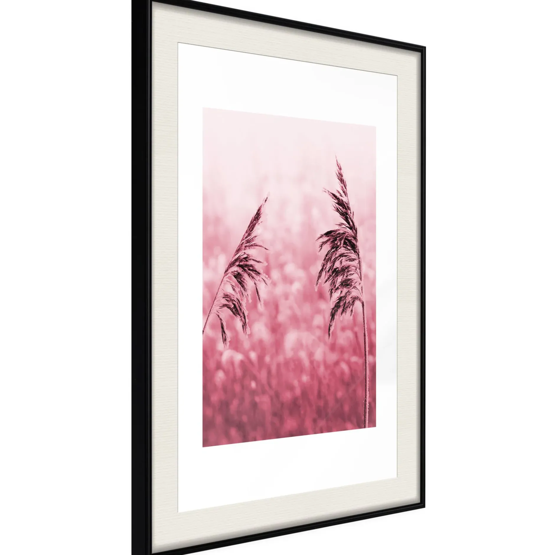 Poster 'Amaranth Meadow'