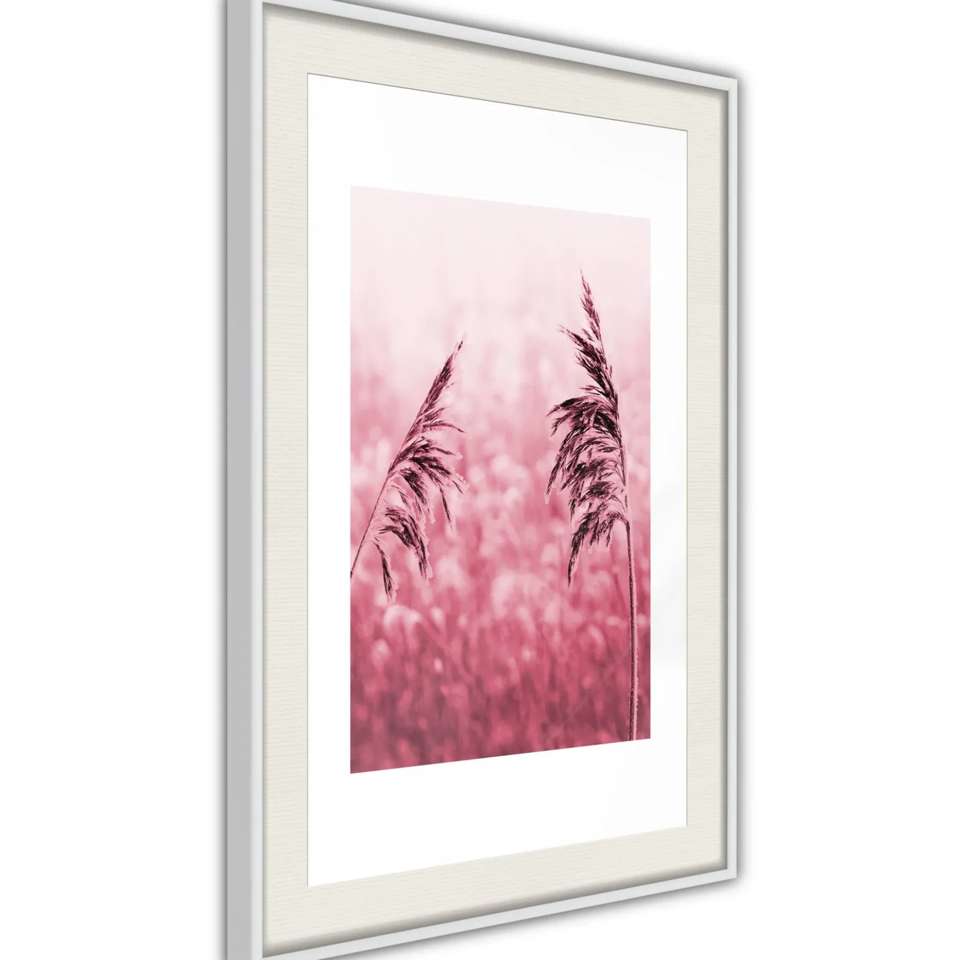 Poster 'Amaranth Meadow'
