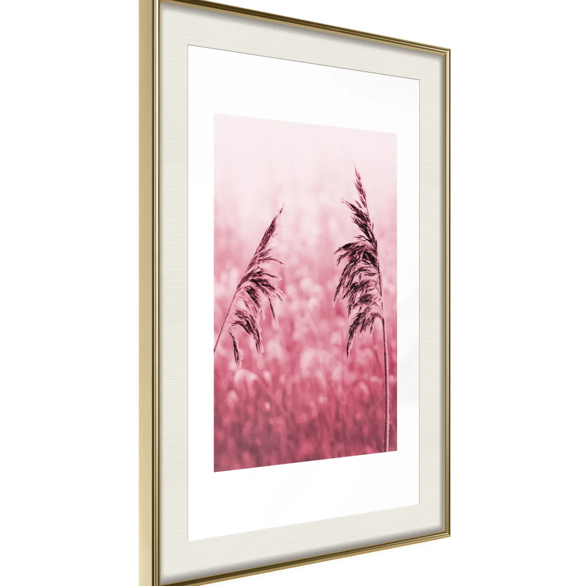 Poster 'Amaranth Meadow'