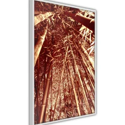 Poster 'Asian Forest'