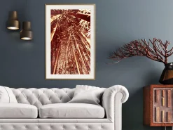 Poster 'Asian Forest'