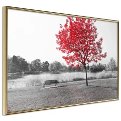 Poster 'Autumn Colours I'