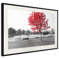 Poster 'Autumn Colours I'
