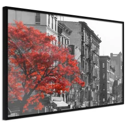 Poster 'Autumn Colours II'