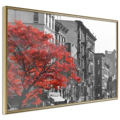 Poster 'Autumn Colours II'