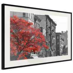 Poster 'Autumn Colours II'