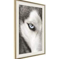 Poster 'Azure Eye'